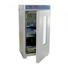 霉菌培养箱MJX-250B-Z的图片