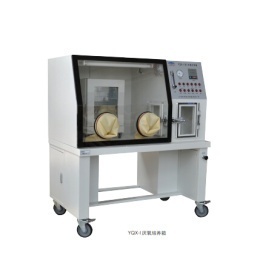 YQX-II厌氧培养箱的图片