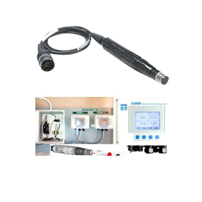 美国维赛YSI 5500D光学溶氧仪的图片