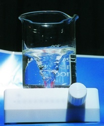 进口PTFE磁力搅拌器，搅拌子（四氟）的图片