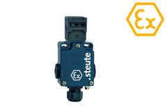 防爆安全开关G的图片