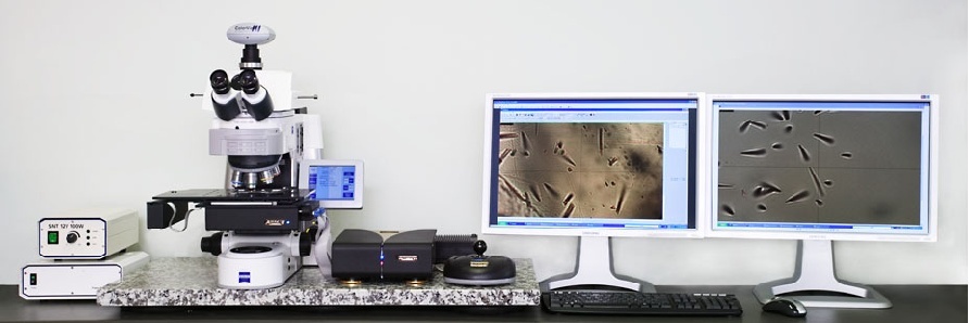 裂变径迹的图片