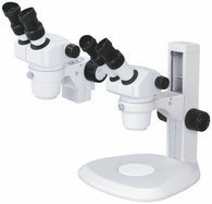 体视显微镜的图片