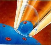 膜片钳系统的图片