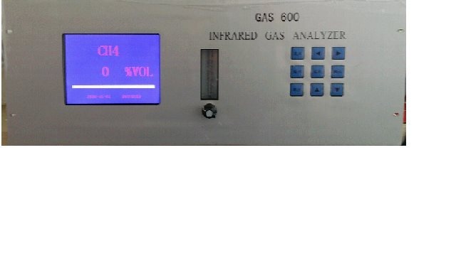 GAS400在线沼气分析仪的图片