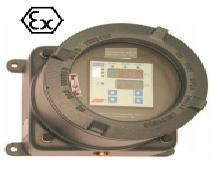 ADEV EC9600防爆微量氧气分析仪的图片
