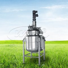 FY系列反应釜的图片