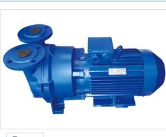 2BV水环真空泵的图片