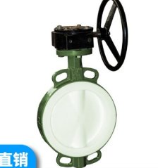 四氟蝶阀的图片