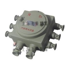 BJX-防爆接线箱的图片