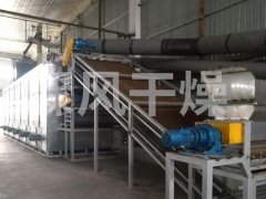 DWT系列脱水蔬菜干燥机的图片