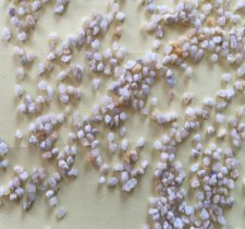 2-4mm石英的图片