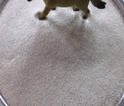 70-140目石英的图片