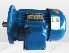 国标Y系列电机的图片