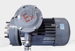 防爆系列电机的图片