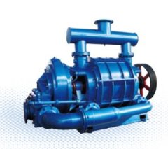 SKC系列锥体式液式真空泵的图片