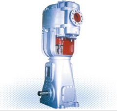 WLW系列立式往复真空泵的图片