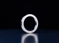 SBX 型金属环垫的图片