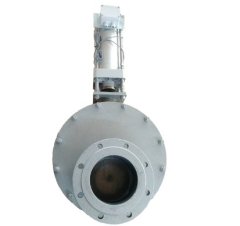 双闸板阀 FHV2-DN200的图片