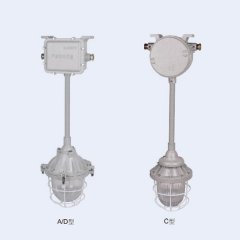 BAJ系列防爆应急灯(IIB、IIC、tD)的图片