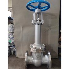 DZ41W-16P DN100低温闸阀的图片