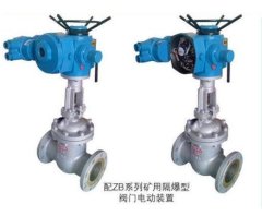 隔爆型电动闸阀的图片