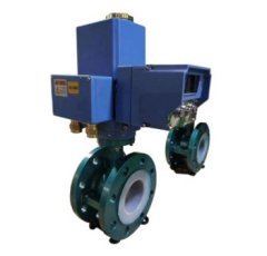 衬氟对夹蝶阀的图片