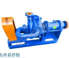 80SYS压滤机入料泵的图片