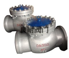 焊接止回阀的图片