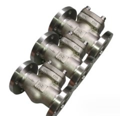 升降式止回阀的图片