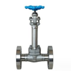 不锈钢低温加长杆截止阀的图片