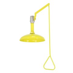 BTC3-A 挂壁式不锈钢双防冲淋器的图片