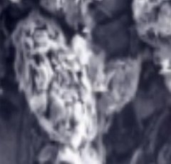 纳米氮化硼的图片