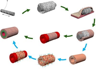 领博生物获融资，用于生物型人工血管的注册性临床试验