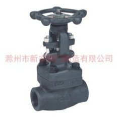 丝扣焊接式锻钢闸阀的图片