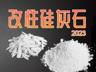 改性硅灰石应用及研究进展