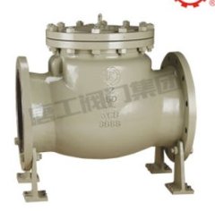 美标大口径止回阀的图片