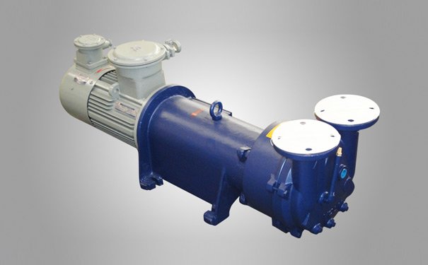 2BV水环式真空泵及压缩机的图片