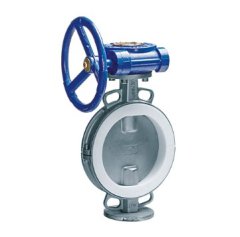 半衬蝶阀的图片