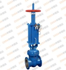 气动带手动闸阀的图片