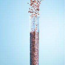 DEVAN天然亚麻籽油抗菌剂 Biome的图片