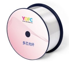 多芯光纤的图片