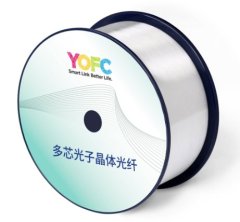 多芯光子晶体光纤的图片