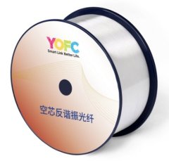 空芯反谐振光纤的图片