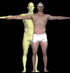 3dMDbody System的图片