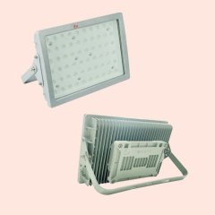 SED81系列防爆高效节能LED灯的图片