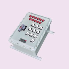 SEM(D)16系列防爆动力(控制)配电箱的图片