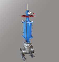 气动闸阀的图片