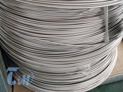 TA2钛丝（3.0mm）的图片