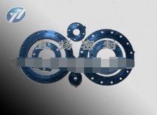 法兰垫片S的图片